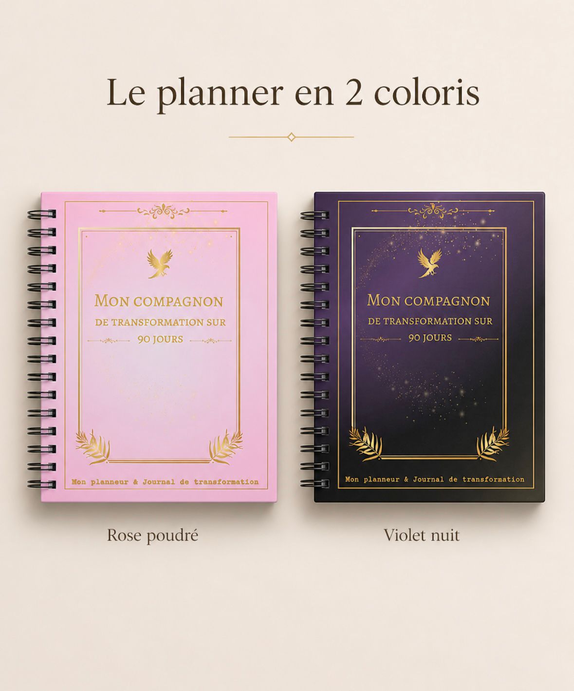 Mon Compagnon de Transformation — Planner 90 jours